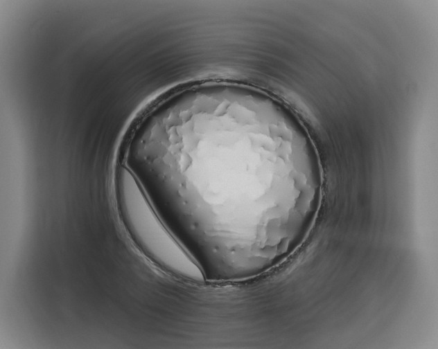 X0000113530784200910021328