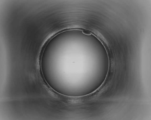 X0000113530789200910021328