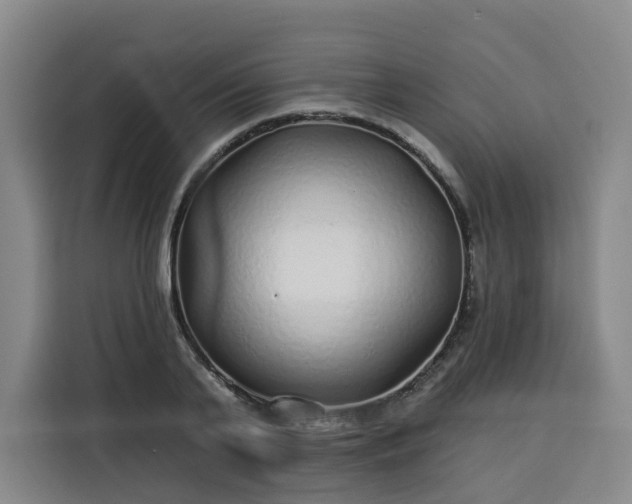 X0000113530791200910021328