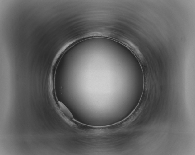 X0000113530796200910021328