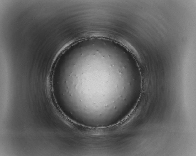 X0000113530798200910021328