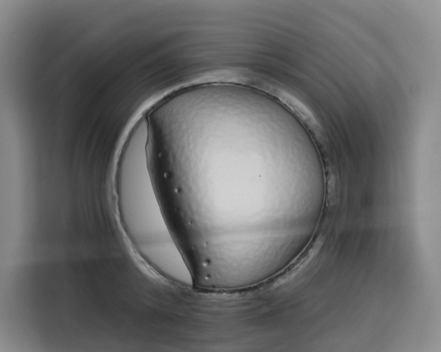 X0000113530800200910021328