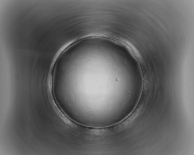 X0000113530804200910021328