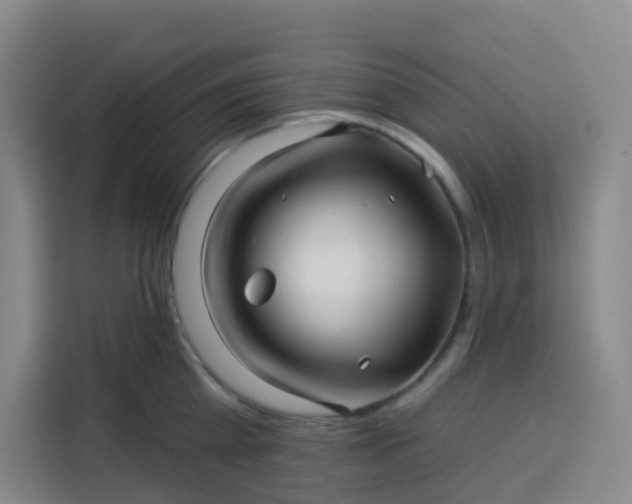 X0000113530809200910021328