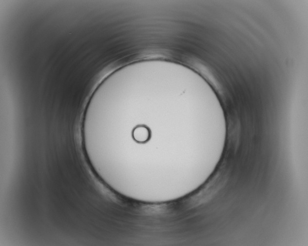 X0000113530810200910021328