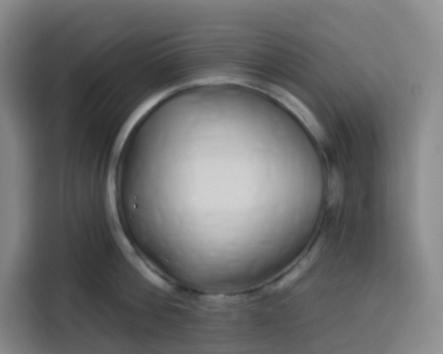 X0000113530812200910021328