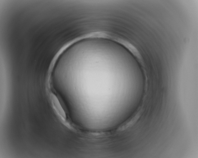 X0000113530816200910021328