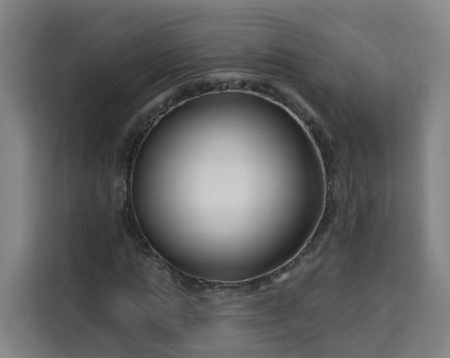 X0000113530821200910021327