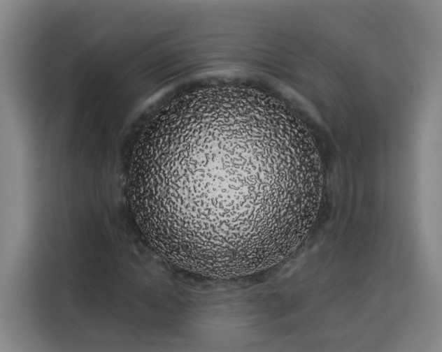 X0000113530822200910021327