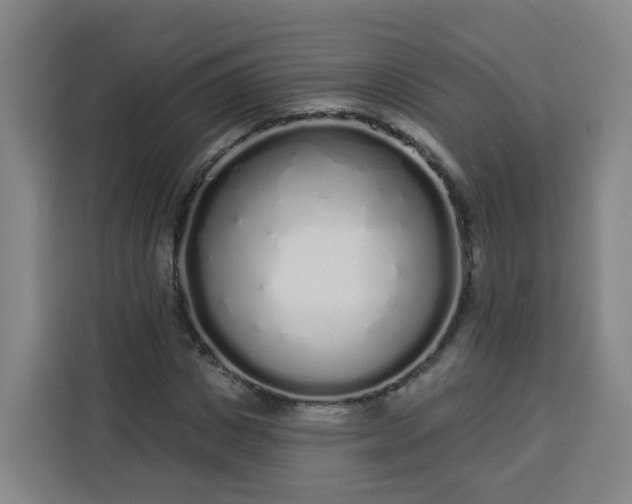 X0000113530825200910021328