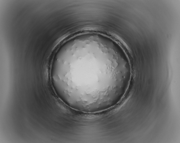 X0000113530829200910021328