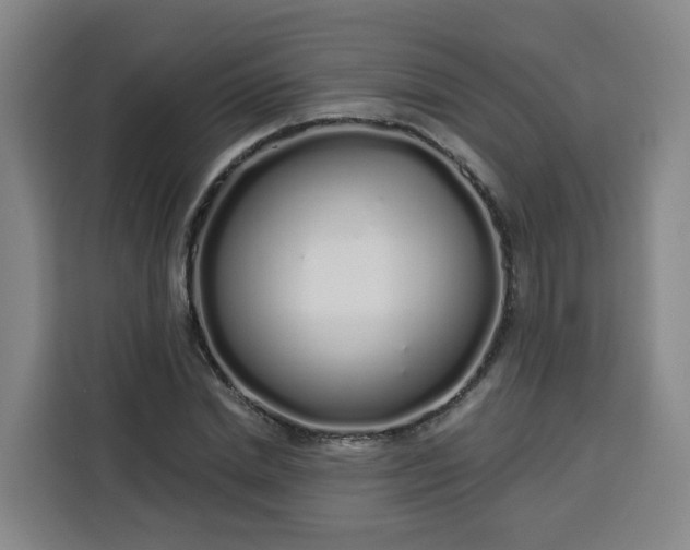 X0000113530830200910021328