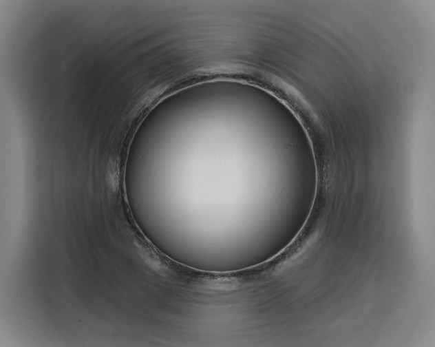 X0000113530833200910021328