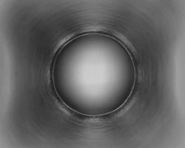 X0000113530834200910021328