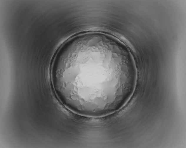 X0000113530839200910021328