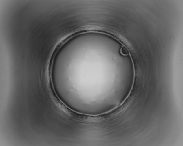 X0000113530840200910021328