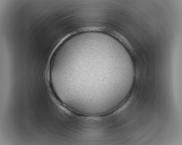 X0000113530844200910021328