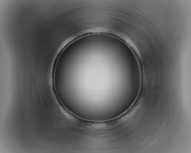 X0000113530845200910021328