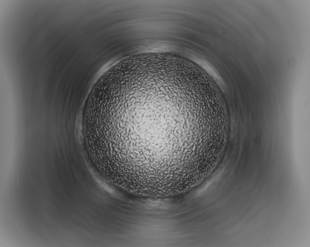 X0000113530850200910021328