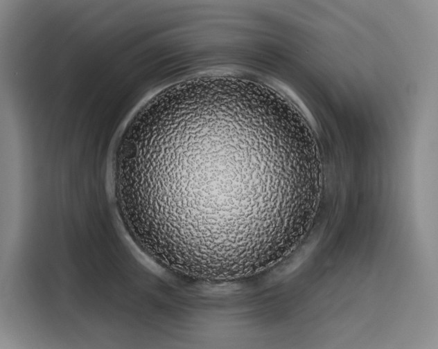 X0000113530851200910021328