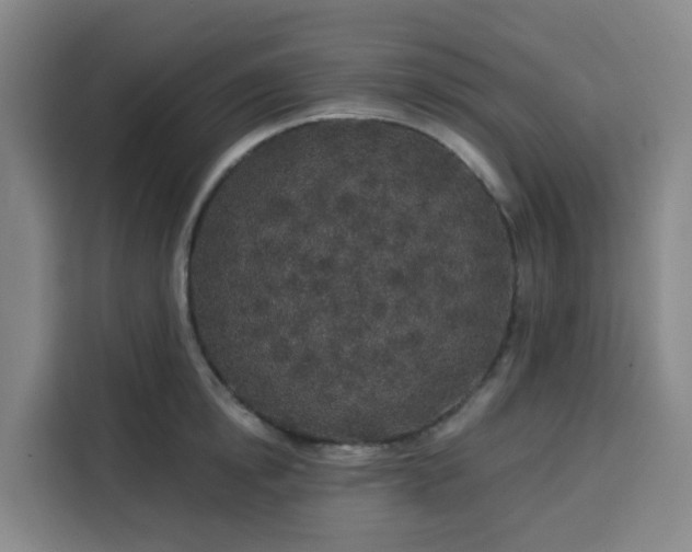 X0000113530854200910021328