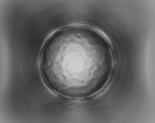 X0000113530855200910021328