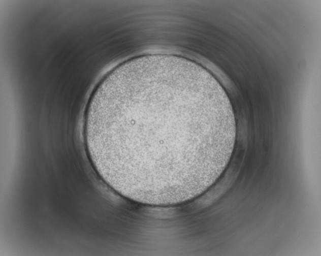 X0000113530856200910021328