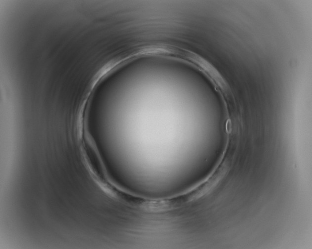 X0000113530858200910021328