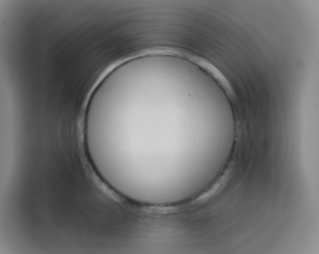 X0000113530860200910021328