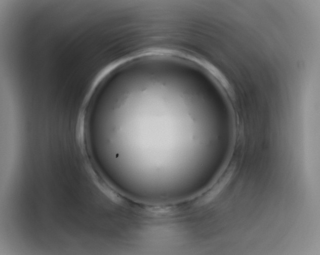 X0000113530862200910021328