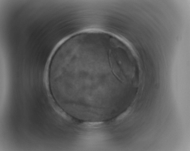 X0000113530864200910021328