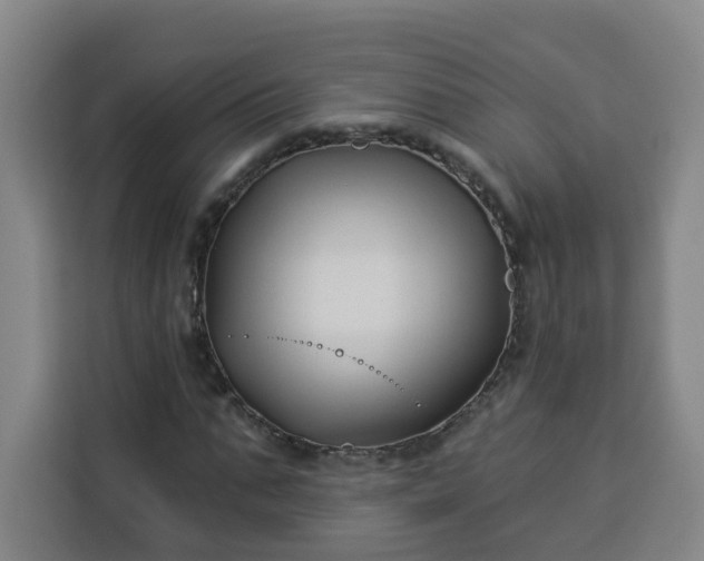 X0000113530871200910021327