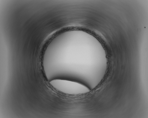 X0000113530872200910021327