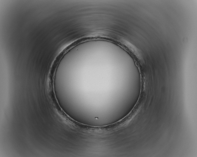 X0000113530876200910021327