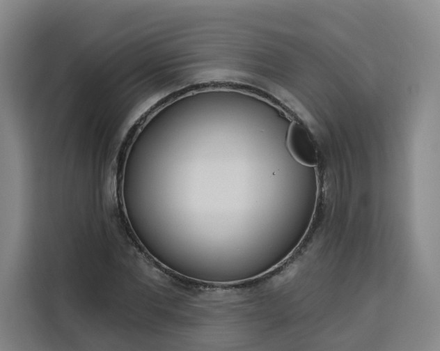 X0000113530877200910021327