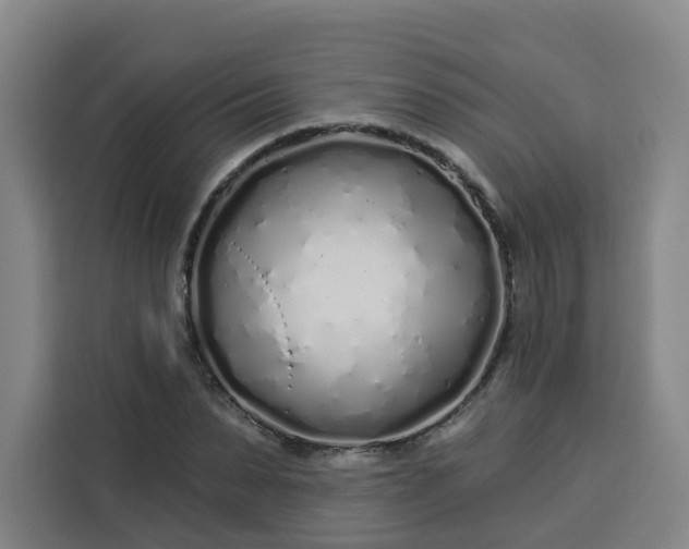 X0000113530879200910021327