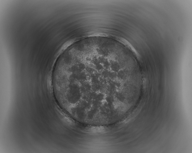 X0000113530882200910021327