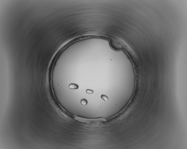 X0000113530884200910021327