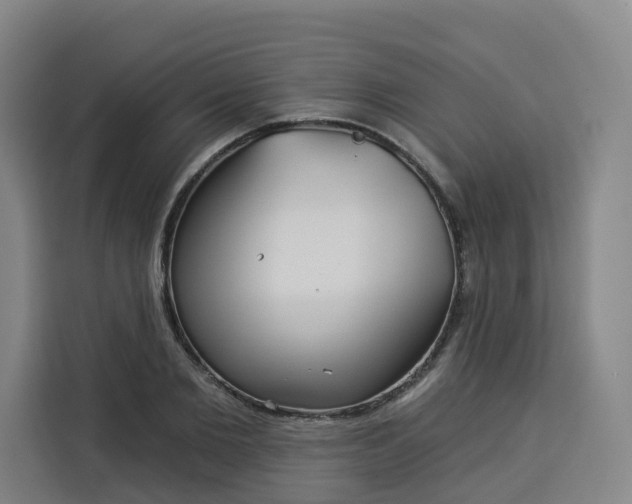 X0000113530885200910021327