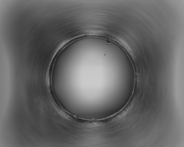 X0000113530891200910021327