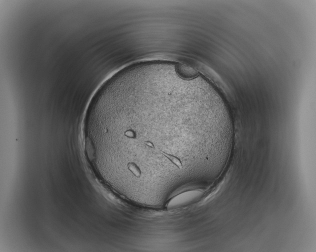 X0000113530892200910021327