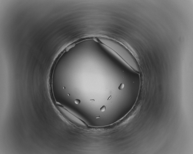 X0000113530893200910021327