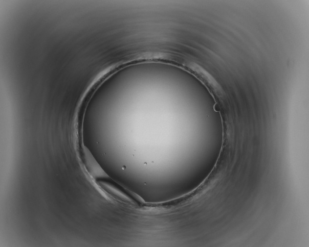 X0000113530894200910021327