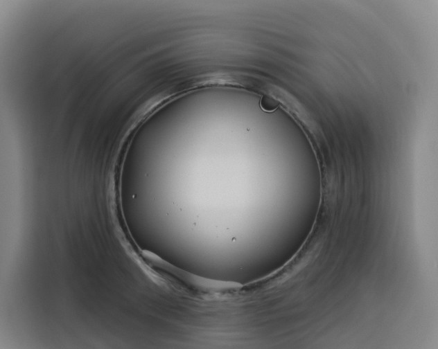 X0000113530898200910021327