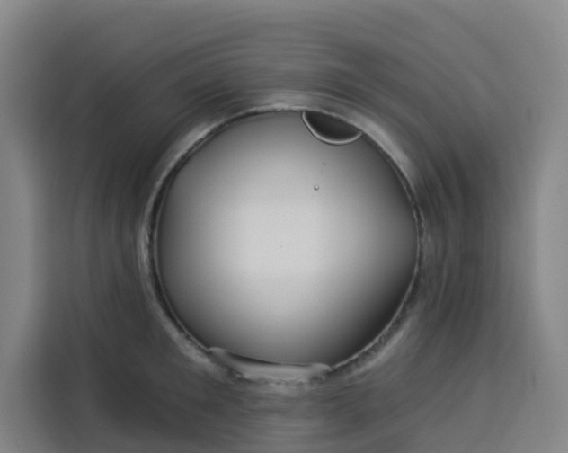 X0000113530901200910021327