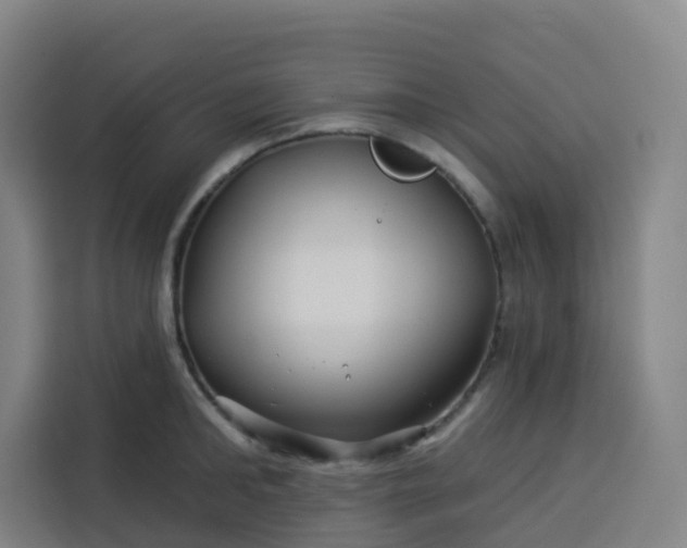 X0000113530902200910021327