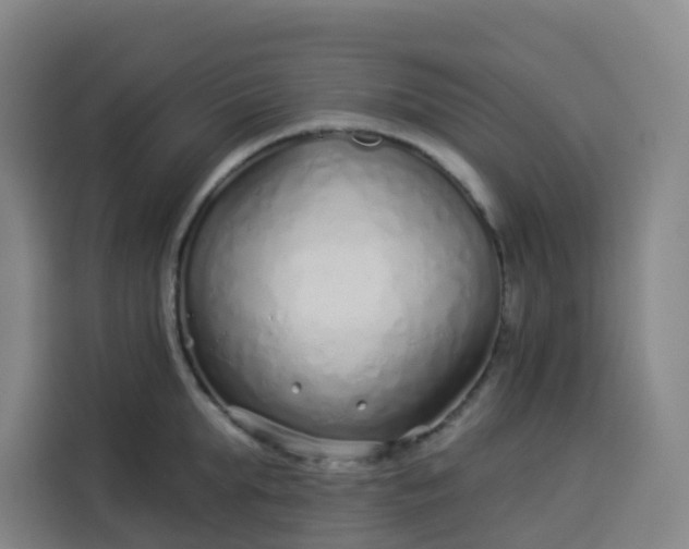 X0000113530903200910021327