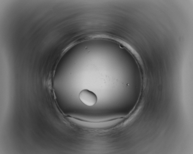 X0000113530905200910021327