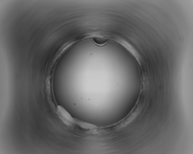 X0000113530906200910021327