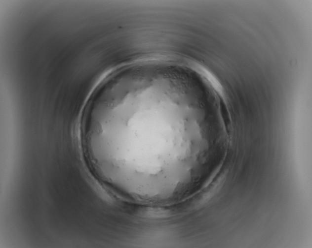 X0000113530907200910021327